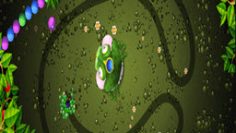 Frogtastic