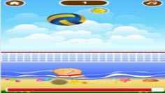 Volleyball