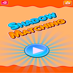 Shadow Matching